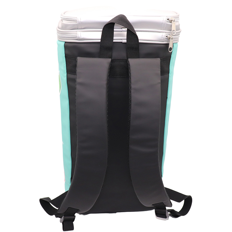 beach cooler bag